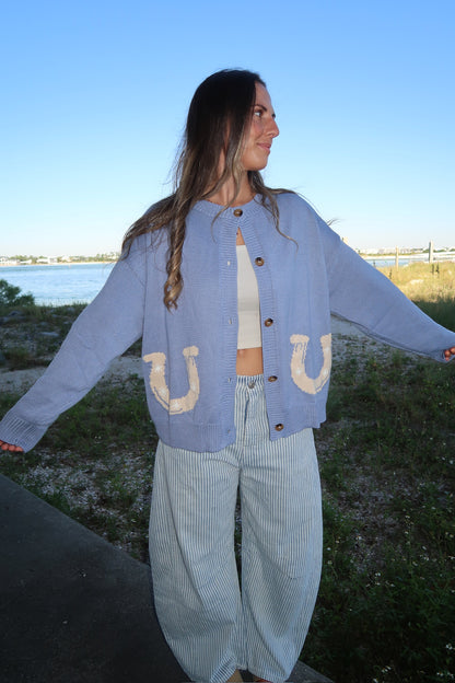 horseshoe cardigan